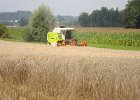 Claas Drescher 41